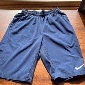 Mens Nike Dri-Fit Shorts
